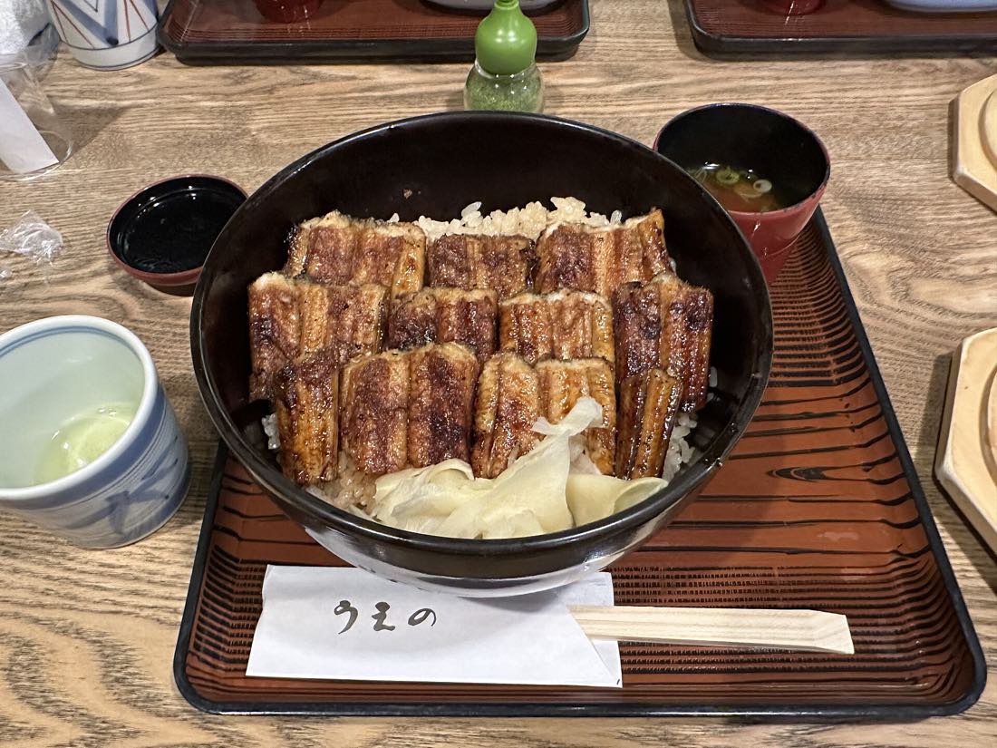 Anago-meshi, grilled conger eel over rice